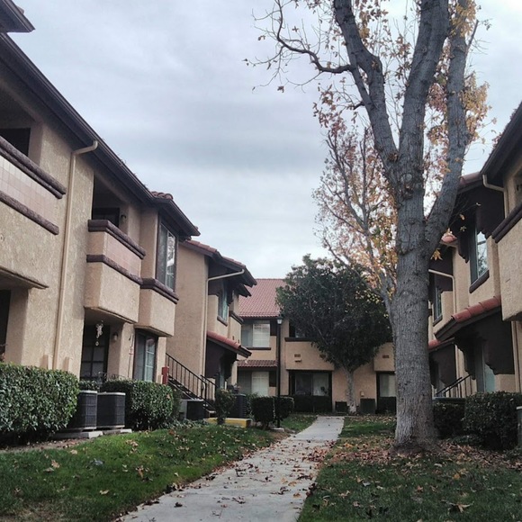 Meet your Posher, Rosie - Picture 1 of 1